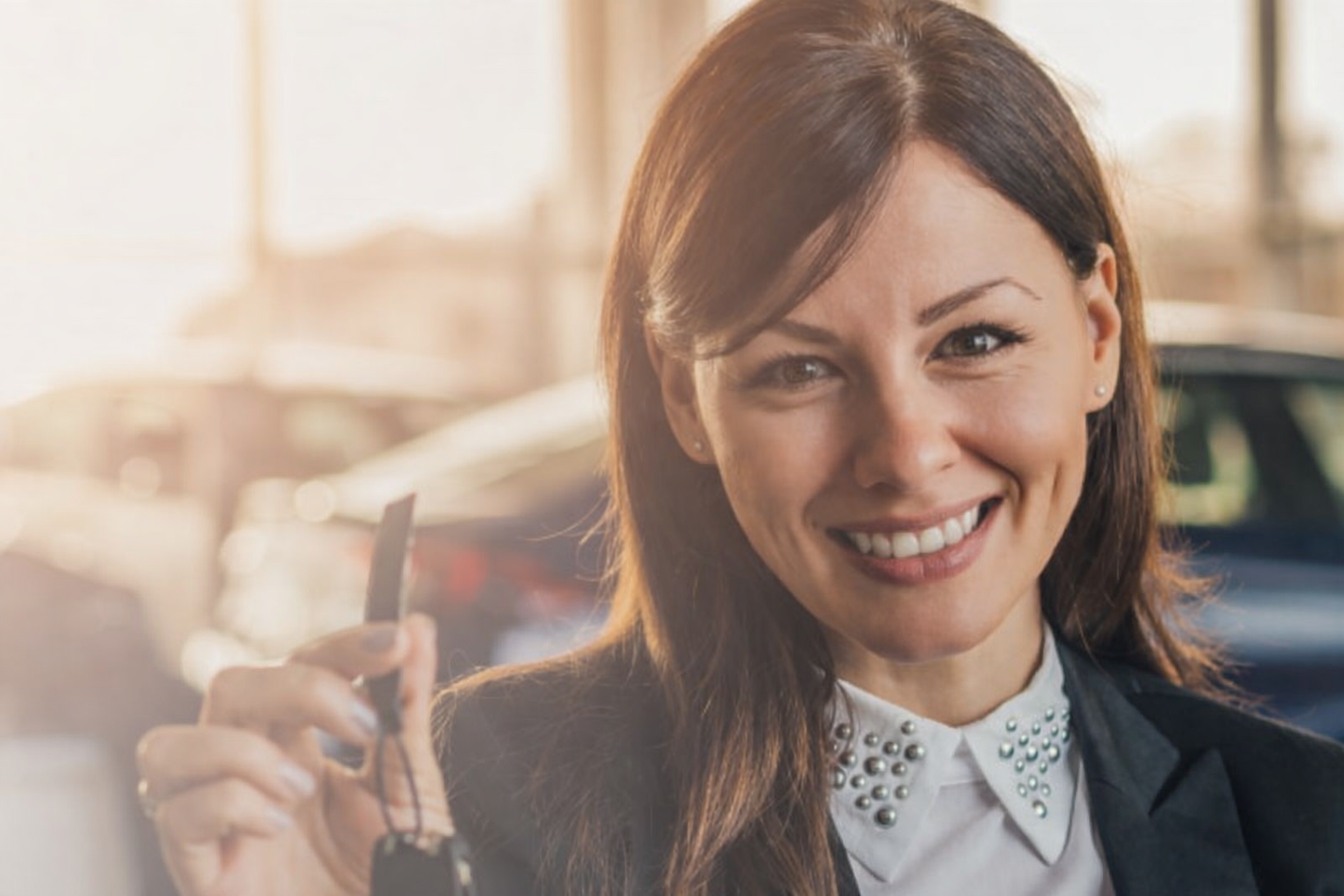 Ilustração guia Safra